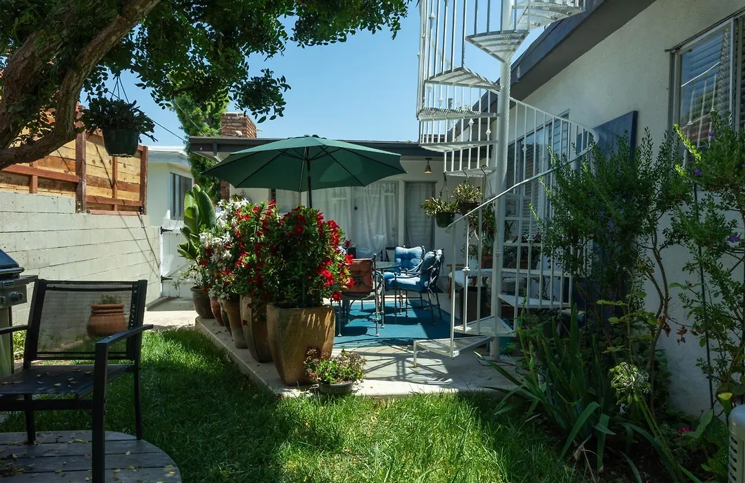 Overlooking Marina Del Rey Sailboats, Is Green Ginger Playa Del Rey On The Bluff,-1