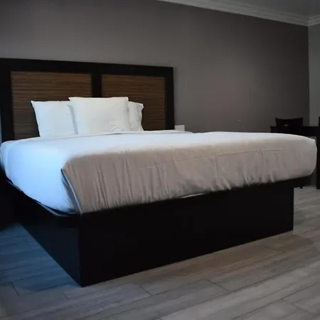 Willow Tree Inn & Suites-2