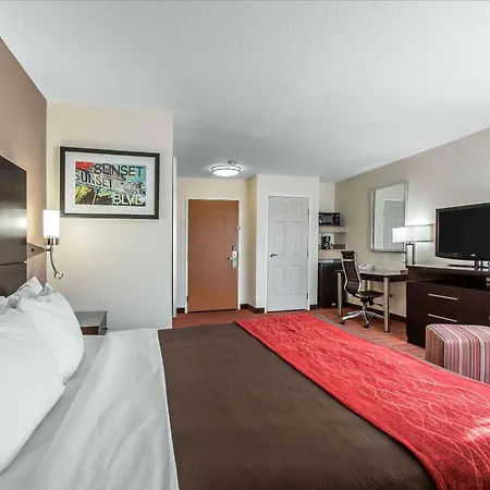 Comfort Inn Los Angeles Near Hollywood-3