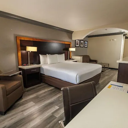 Comfort Inn & Suites Near Universal - N Hollywood - Burbank-3