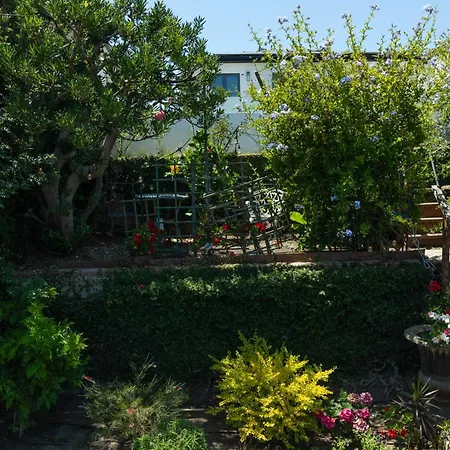Overlooking Marina Del Rey Sailboats, Is Green Ginger Playa Del Rey On The Bluff,-2