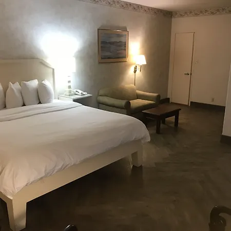 Hollywood Hotel-2